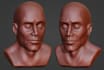 sculpt 3d head model head sculpt head bust 3d face stl files for 3d printing