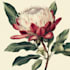 do a watercolor botanical illustrations of flower
