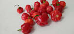 provide healthy food ingredients