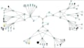 build custom cisco packet tracer labs for ccna and ccnp