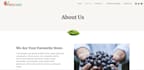 develop an ai powered responsive website