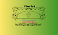 professional expert graphics designer