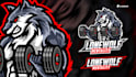 design amazing mascot logo for brand, esports, youtube