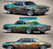 design professional vehicle wrap, vehicle wrap design