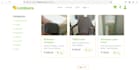 fix django bugs and add new features to your web app