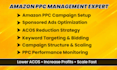 audit your amazon listing, PPC campaign and provide optimization strategy