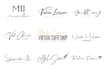 create a professional signature logo animation or name reveal