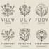 handdrawn financial logo in 24 hours