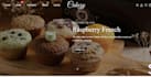 design ice cream shopify store candy website cookies website chocolate store