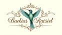 create outstanding hummingbird logo with express delivery