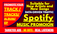 do professional spotify promotion with targeted ads