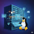 be your expert linux and windows system administrator