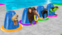 create 3d animal crossing fountain animation