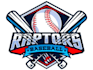 design a professional baseball logo
