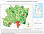 do  gis  mapping and remote sensing analysis