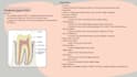 make detailed study guide and notes for your courses