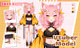 design and rig pro vtuber character in live2d, for vtuber model and vtube studio