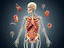 do scientific illustrations diagram and figures
