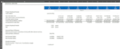 prepare feasibility study, financial model and business plan