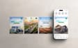design custom canva templates, social media posts, and flyers