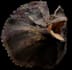 do pbr texture in substance painter, foundry mari in 4k 8k