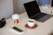 write short blog posts and simple SEO articles at low price