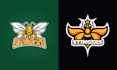 design mascot bee logo