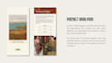do your personalized color analysis