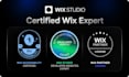 fix wix studio mobile issues, layouts, bugs, and optimize wix website responsive
