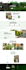 redesign and design your wix business website