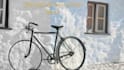 professionally colorize black and white photos and restore