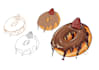 draw wonderfull food illustration