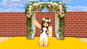 create minecraft 3d animation