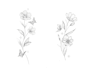 draw fineline botanical delicate flowers