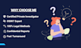 do professional background check people search and osint investigation