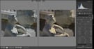 professionally edit your photos in adobe lightroom