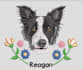 digitize your designs in one an hour