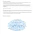 design program, analyze surveys on surveymonkey qualtrics googleforms spss excel