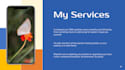 transfer migrate clone wordpress website to new host domain