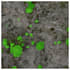 do object detection, segmentation, image alignment with deep learning
