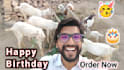 wish and sing happy birthday and say anything within 6 hours