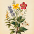 draw watercolour botanical illustrations