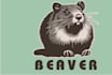 design beaver logo with free source file