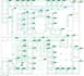 provide dialux evo lighting calculations and  reports