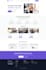 build or rebuild a responsive wordpress website