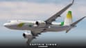 create custom liveries for microsoft flight simulator 2020 or 2024