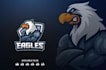 create high quality mascot bird eagle logo