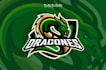 design high definition mascot dragon logo