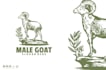 design vintage mascot goat head logo
