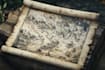 design fantasy map battle map travel map dnd dungeons